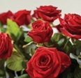 Double Ended Rose Coffin Spray