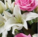 Classic Lily and Rose Spray CO OP