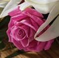 Classic Lily and Rose Spray CO OP