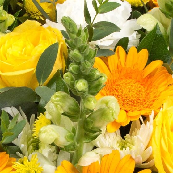Florist Choice Sheave