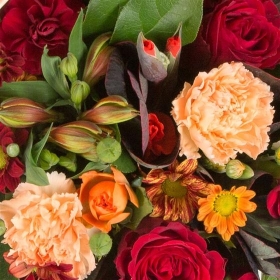 Florist Choice Sheave