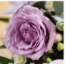 Lilac Wreath
