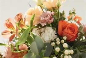 Natural Mixed Posy CoOp